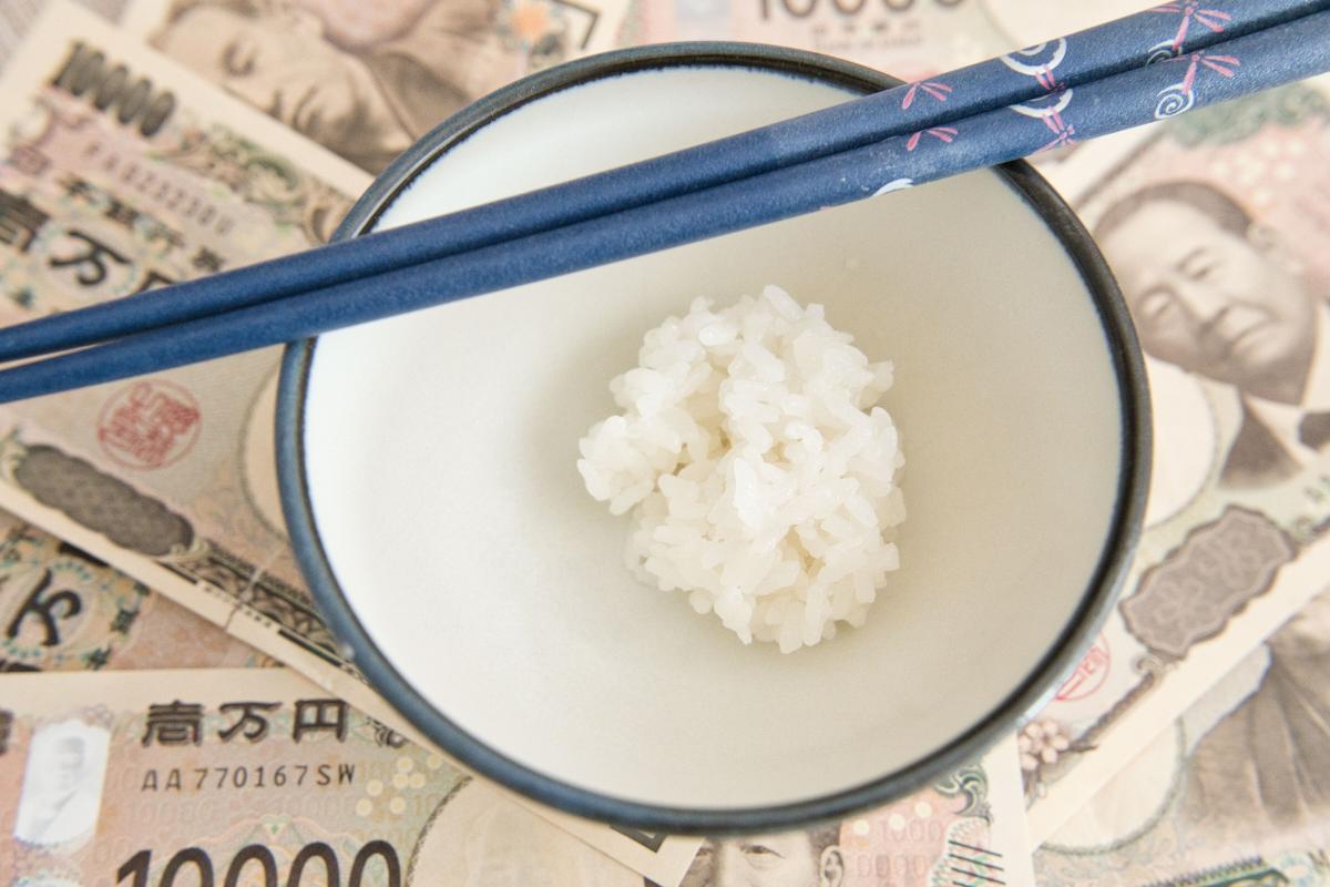 米販売の規制緩和でどう変わった？農家と消費者に迫る影響と最新対策 ｜ 兵庫で米販売する株式会社東田商店は全国対応可能