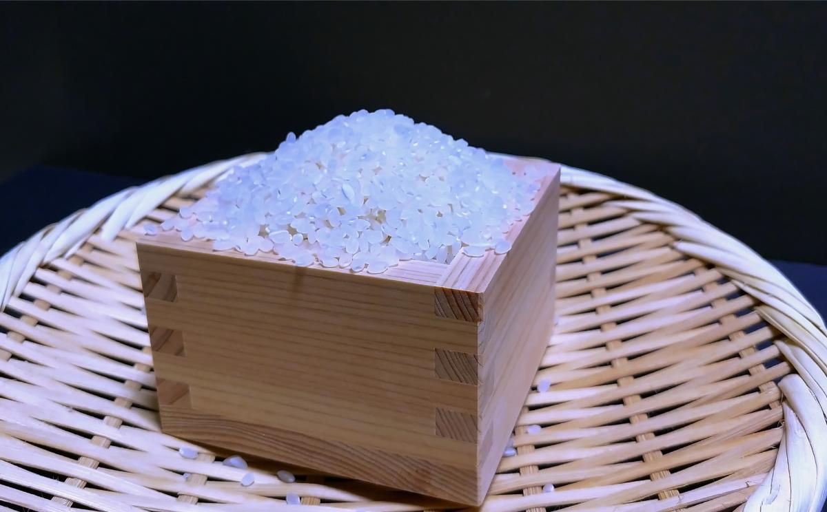 秋田県で米販売をする際のポイントやおすすめの購入法完全ガイド 